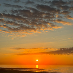 Mackerel Skies
