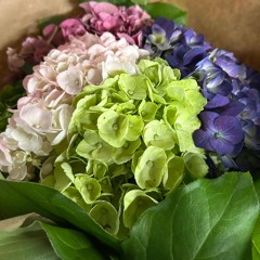 Jealously {maisonarchive}