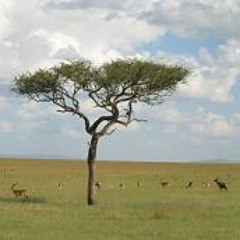 Kabhi Khwab Mein Ya Kheyal Mein (Cover) Orig. by Talat Aziz