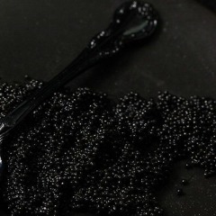 CAVIAR |Punjabi Song