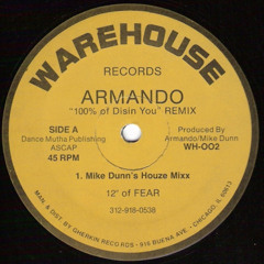 100% of Dissin You (Armando's Dis Mix)
