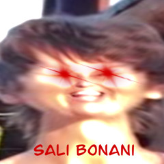 Sali Bonani (brunology remix)