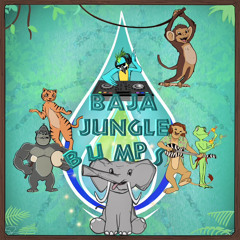 Baja Jungle Bumps Mix