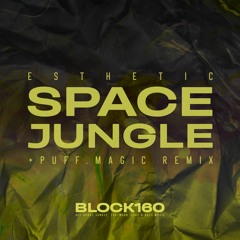 Esthetic - Space Jungle (PUFF.magic Remix)