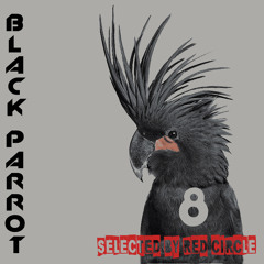 Black Parrot Vol.8 - Selected By Red Circle