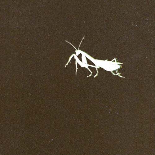 BUG [PROD. LUNAR VISION]