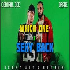 Which One x Sexy Back (OFFICIAL Remix)