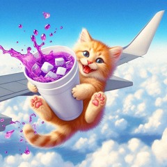 flight risk freestyle✈️✈️ maxi x clutz (p. aloa)