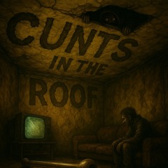 Cunts in the roof