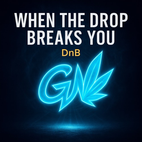 When the Drop Breaks you DnB