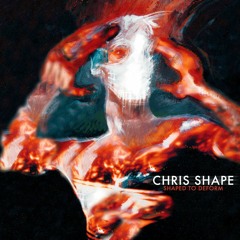 Chris Shape - Holy Ron [Premiere | UPRGOLD14]