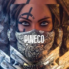 PINECO (Hono rmx)