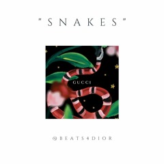 (FREE) Drake x Playboi Carti Type Beat - " SNAKES "