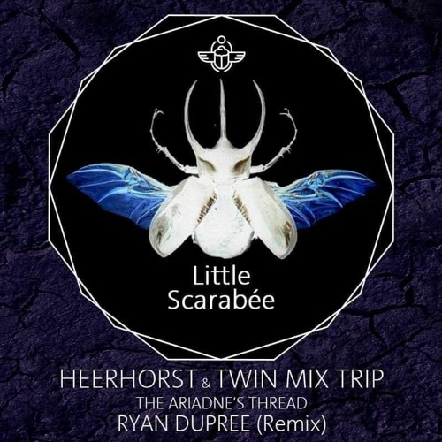 Heerhorst and Twin Mix Trip - The Ariadne's Thread(Ryan Dupree Remix)