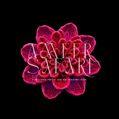 Persian House,Organic House,Afro House,Progressive House