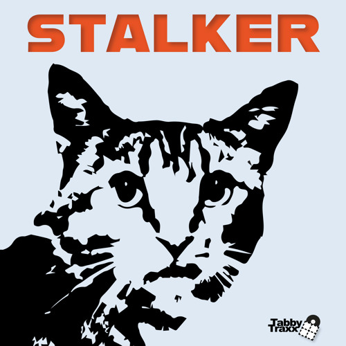 Steezy Ray Vaughan / Stalker Steezy Ray Vaughan / Stalker
