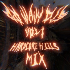Hardcore Hills Mix ꫝꪖ᥅ᦔᥴꪮ᥅ꫀ ꫝ꠸ꪶꪶᦓ ꪑ꠸᥊