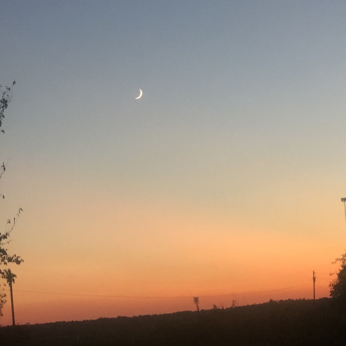 army dreamers - kate bush ( in 29edo )