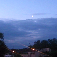 cash xo prod. mucle999, senkdidthat