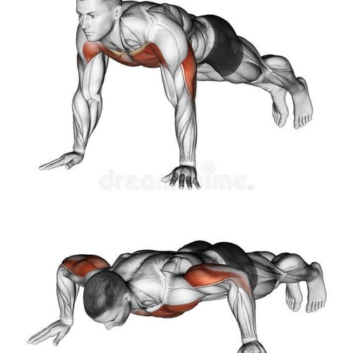 push up (sxprano)