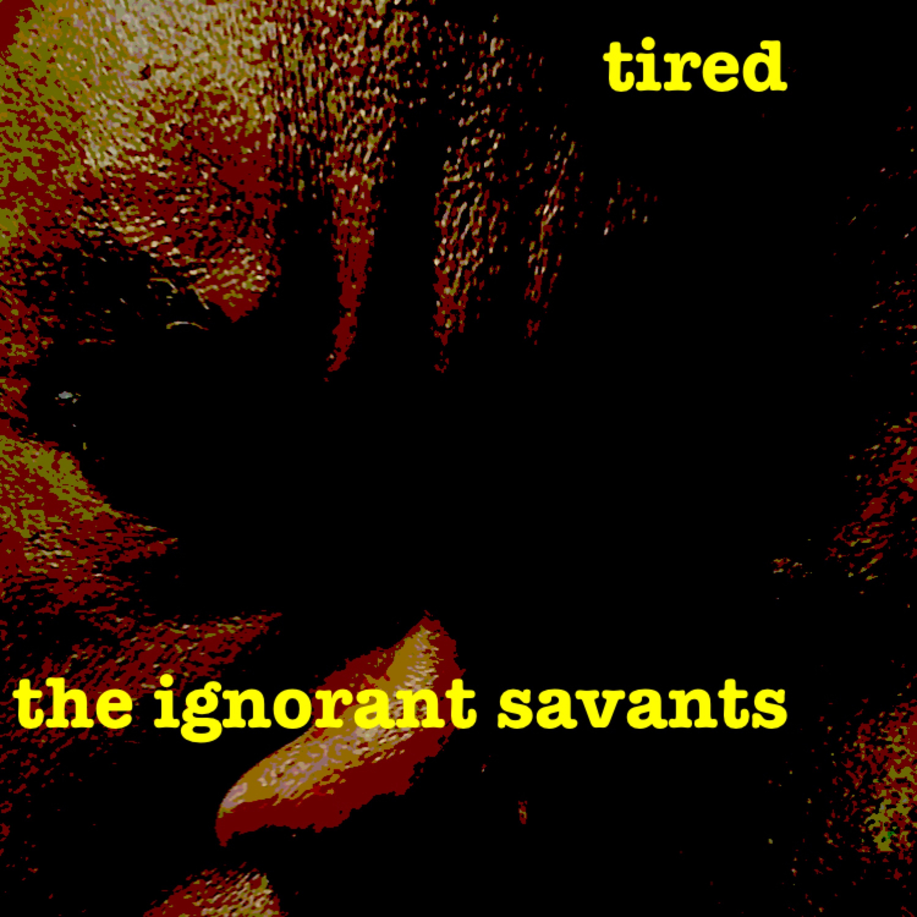 the ignorant savants