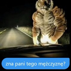 Niezle Sranie