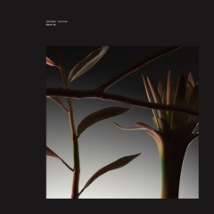 Jäverling ◇ von Euler - Blank yta