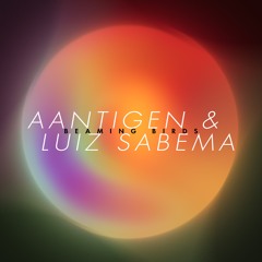 AantiGen & Luíz Sabema - Birdy [ANALOGmusiq]