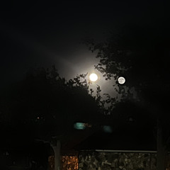 Can’t wish you well (prod.@seimspark x @aidanhanbeats)