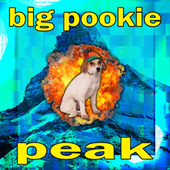 why so pookie
