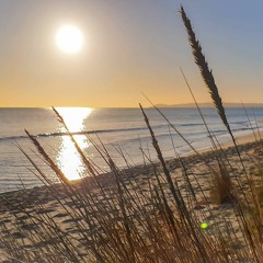 Towards The New Beginning