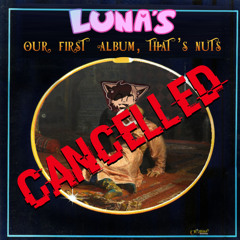 Luna's {Our first album, that's nuts} - Rainbow Connection