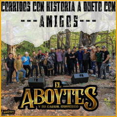 Seguros Tumbados (En Vivo) [feat. Los Bixholos De Sinaloa]