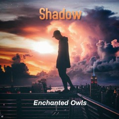 Shadow