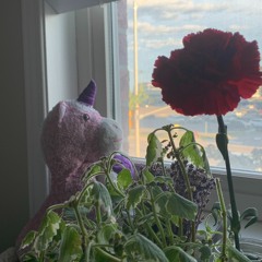 Matthew & Friends Winter 2022 Mixtape