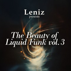 The Beauty Of Liquid Funk Vol.3 - VINYL ONLY