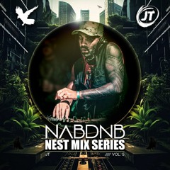 NAB DNB Nest Mix Series [JT] - Vol 5