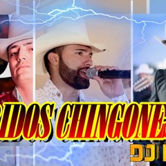 CORRIDOS CHINGONES MIX DJ LALO