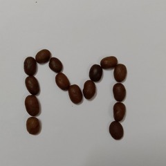 يا صيف عمري ،يا ربيع العمر🌷