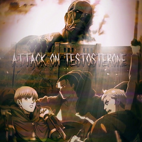 𝐀𝐓𝐓𝐀𝐂𝐊 𝐎𝐍 𝐓𝐄𝐒𝐓𝐎𝐒𝐓𝐄𝐑𝐎𝐍𝐄