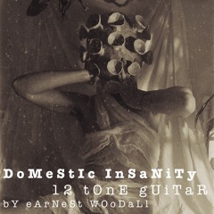 Domestic Insantiy 12 Tone Guitar