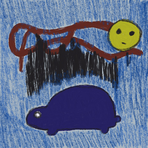 Tortoise All Up in Your Shit