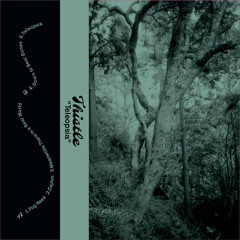 Thistle - Ceylon [Stoned to Death]