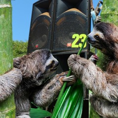 Bamboo crumbs and heavy drums