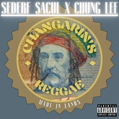 Changarin's Reggae (Video Lyrics) - Disturbio Records (Ft Chung Lee, Sederf Sacul)