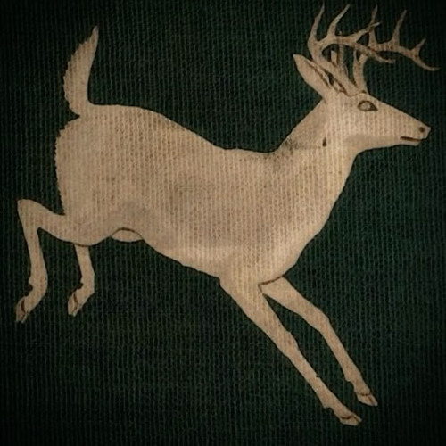 If you are lost in a forest, dont try to escape by taking the best route