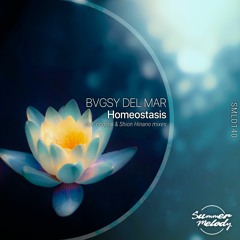BVGSY DEL MAR - Homeostasis (Original Mix) [SMLD140]