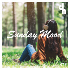Dave Harrigan - Sunday Mood 071
