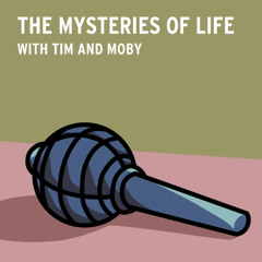 Moby: Tim Mix - April Instigation OST (Friday Night Funkin')