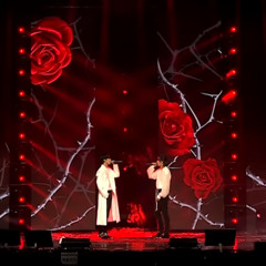 ‘Rose’ Cover - Theo, Intak (P1Harmony)